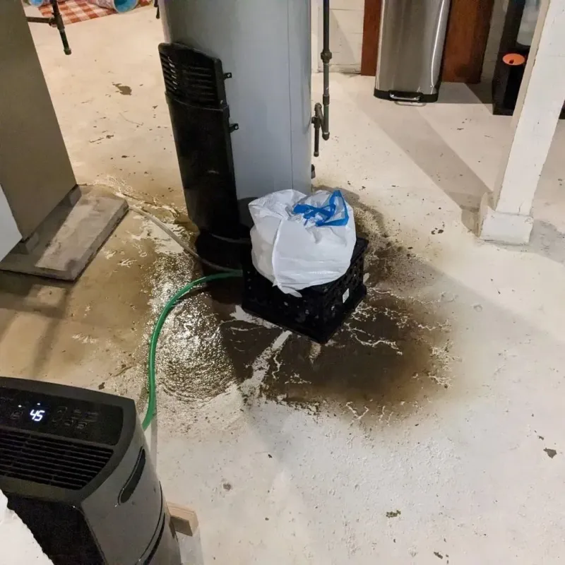 Sewage Backup Cleanup Service in Gas City, IN